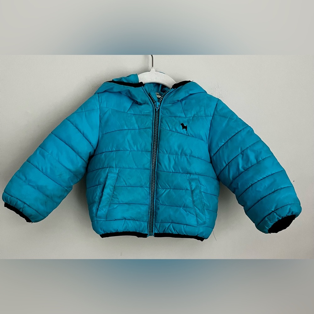 Boys Puffer hooded jacket blue teal dog logo embroidery 12 m